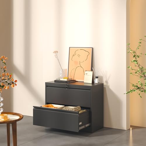 Metal Locking 2-Drawer Lateral File Cabinet for Home Office